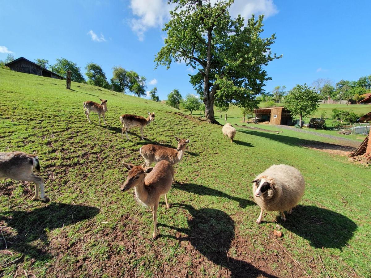 Garni Hotel Biebertal Am Milseburgradweg Hofbieber ภายนอก รูปภาพ